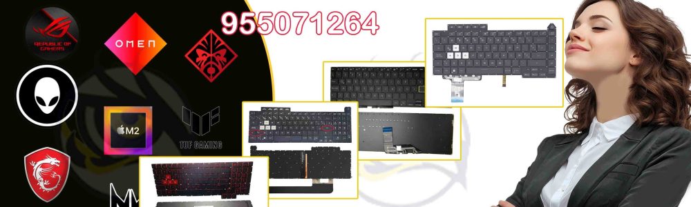 11 TECLADOS 11 TECLADOS