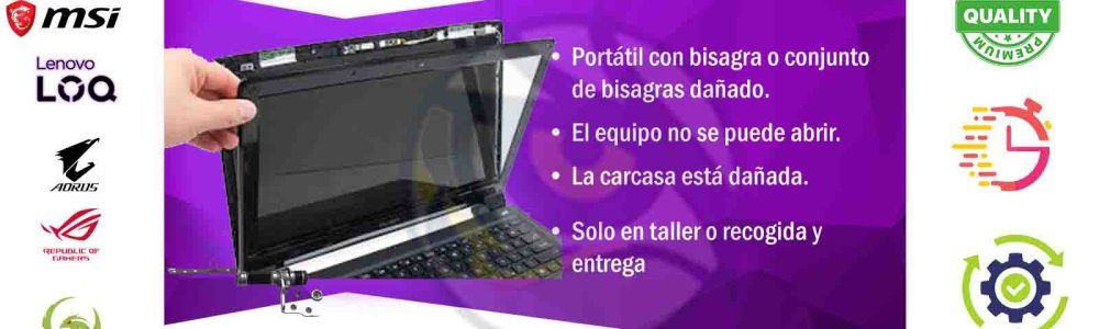 2026 PLACA MORADO bisagra 2 2026 PLACA MORADO bisagra 2