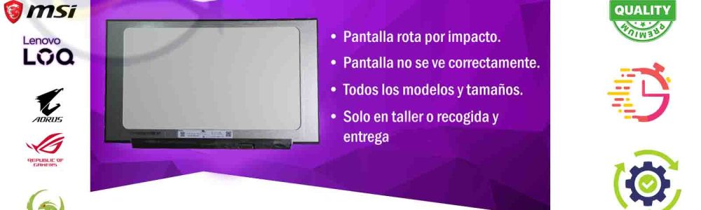 2026 PLACA MORADO pantalla 2026 PLACA MORADO pantalla